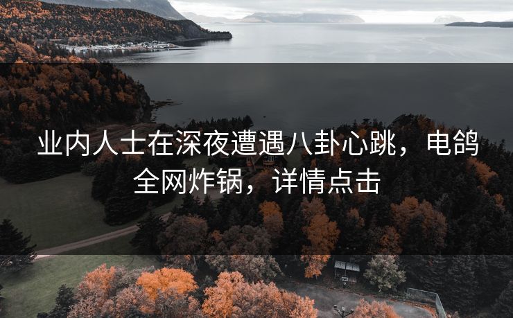 业内人士在深夜遭遇八卦心跳，电鸽全网炸锅，详情点击