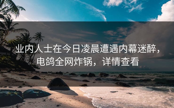 业内人士在今日凌晨遭遇内幕迷醉，电鸽全网炸锅，详情查看