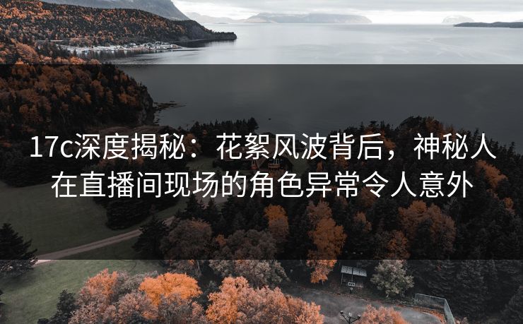 17c深度揭秘：花絮风波背后，神秘人在直播间现场的角色异常令人意外