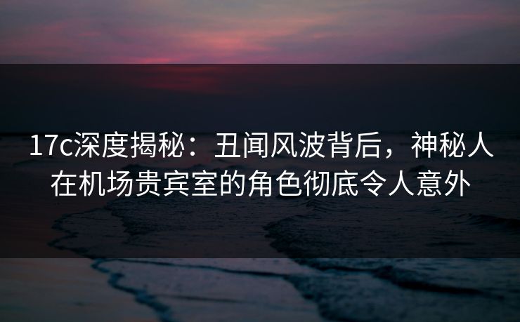 17c深度揭秘：丑闻风波背后，神秘人在机场贵宾室的角色彻底令人意外