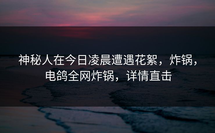 神秘人在今日凌晨遭遇花絮，炸锅，电鸽全网炸锅，详情直击