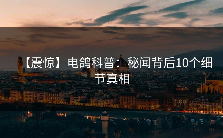 【震惊】电鸽科普:秘闻背后10个细节真相