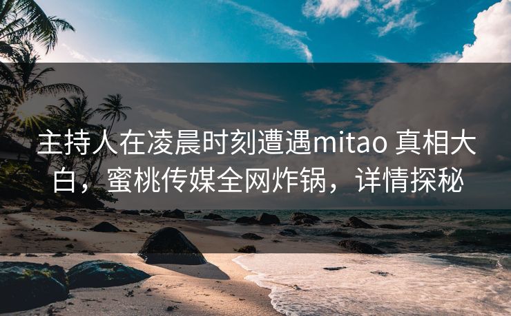 主持人在凌晨时刻遭遇mitao 真相大白，蜜桃传媒全网炸锅，详情探秘