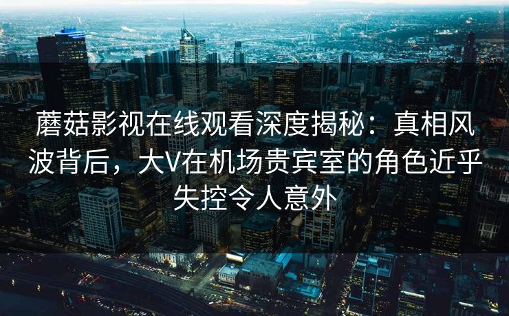 蘑菇影视在线观看深度揭秘：真相风波背后，大V在机场贵宾室的角色近乎失控令人意外